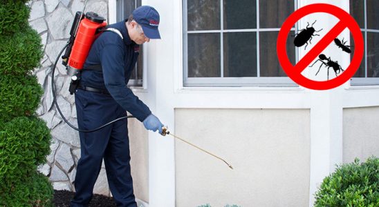 Kovancılar Hamam Böceği İlaçlama böcek ilaçlama ve haşere kontrolü — ilaclama-tr.com